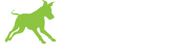Rock Hound